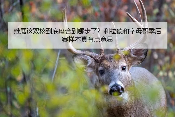 雄鹿这双核到底磨合到哪步了？利拉德和字母哥季后赛样本真有点意思