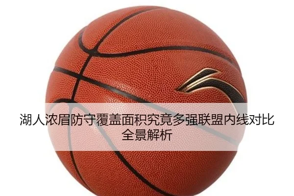 湖人浓眉防守覆盖面积究竟多强联盟内线对比全景解析